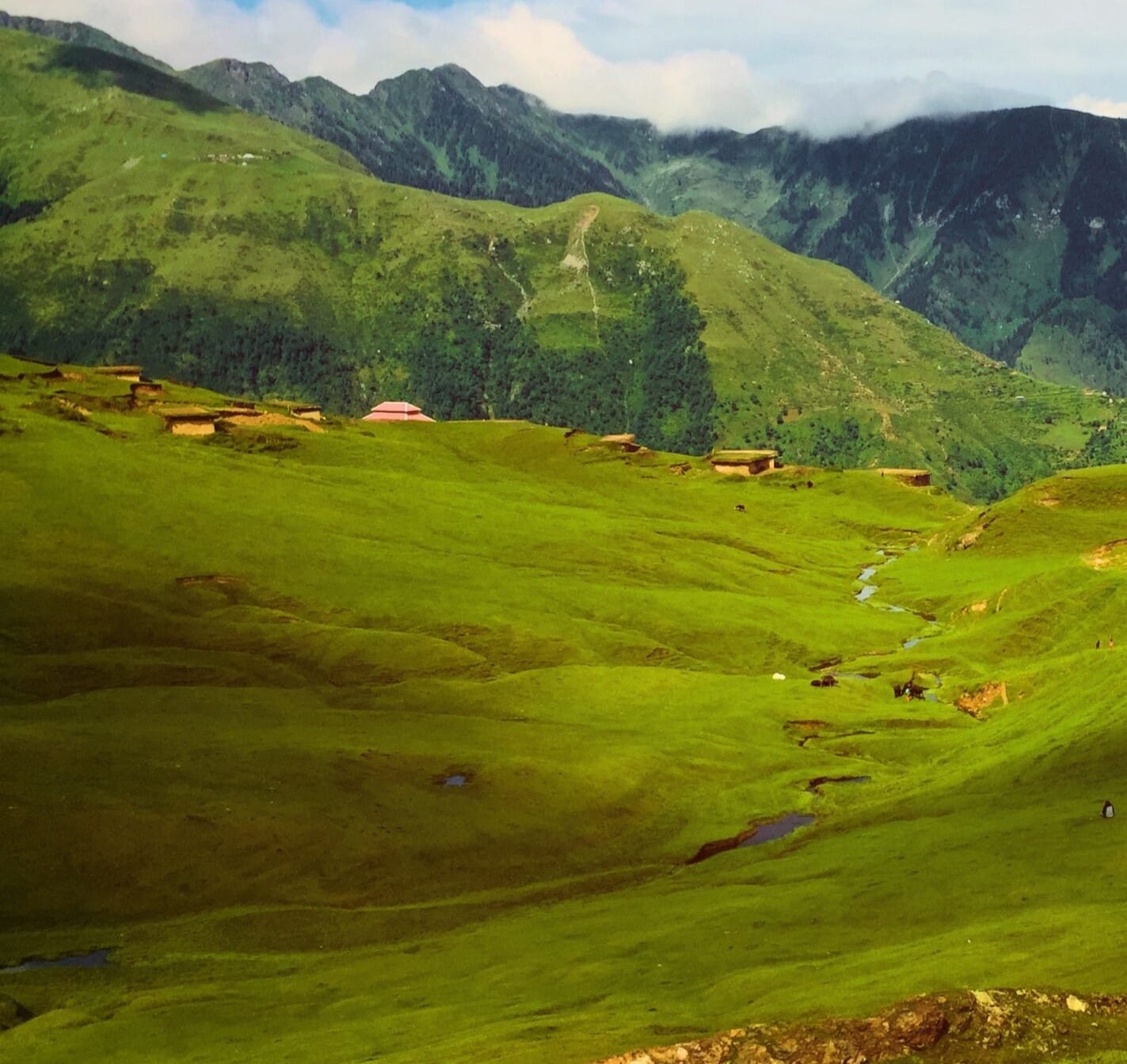 Warwan Valley Trek