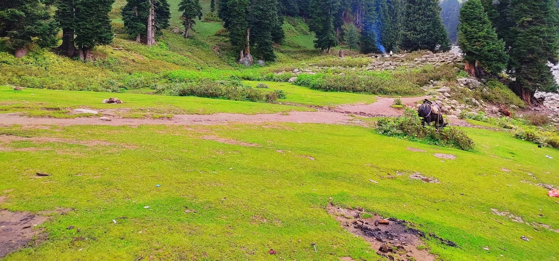 Bodpathri lakes trek